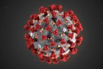 世衛命名新冠病毒COVID-19 疫苗18個月后研制成功
