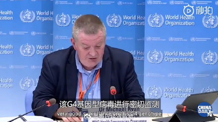 中國出現的豬流感不是新病毒