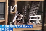 臺州老人臺風(fēng)天關(guān)窗時墜亡