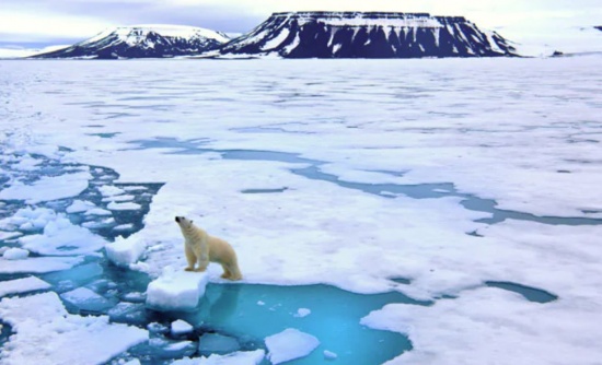 碳排放導致氣候變化，極端高溫變得越來越頻繁。