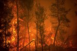 希臘野火肆虐已經第6天 熱浪導致希臘全國多地發生