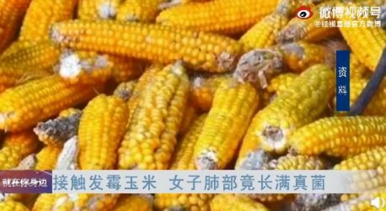 女子接觸霉變玉米后肺部長(zhǎng)滿真菌