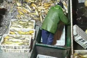 大黃魚(yú)船主:957萬(wàn)貨款