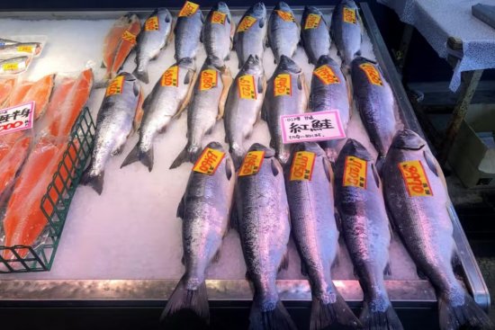 日本俄羅斯簽署了捕魚協議