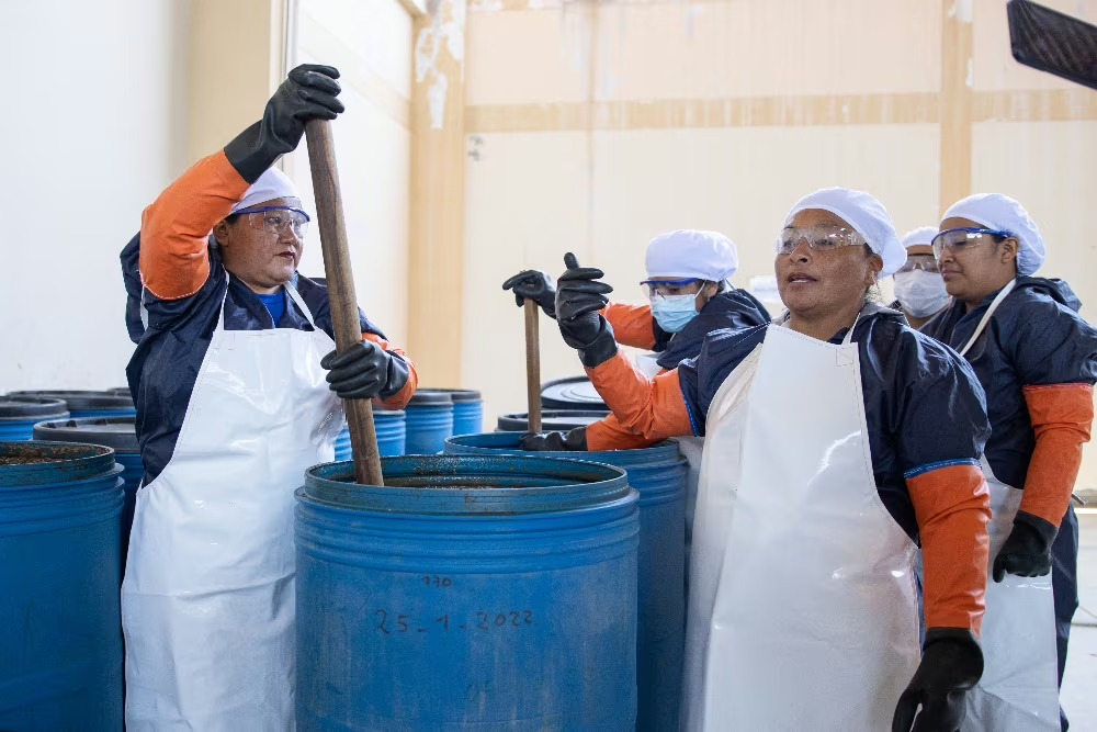 來自APROBIOSPECC的婦女,這是一個將魚類廢物轉(zhuǎn)化為生物肥料的協(xié)會。