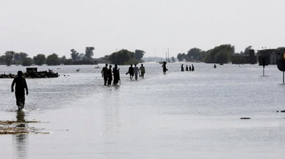 自6月底季風(fēng)來襲以來，巴基斯坦各地洪水已造成785人死亡。