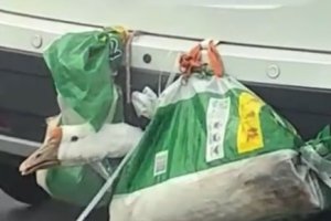 返程高速上