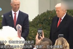 特朗普在白宮赦免火